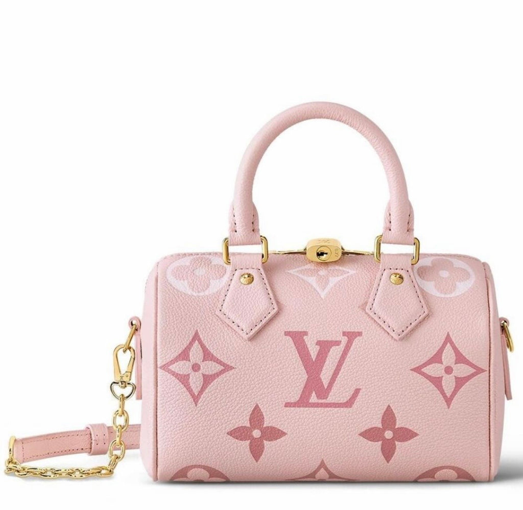 Monogram Mini Nano Speedy