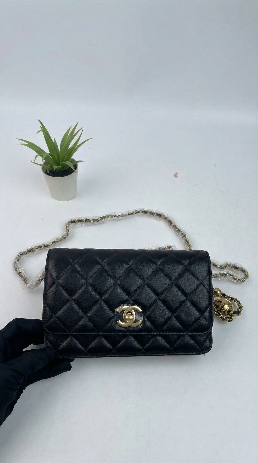 Chanel 19 Flap Bag