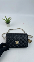 Chanel 19 Flap Bag