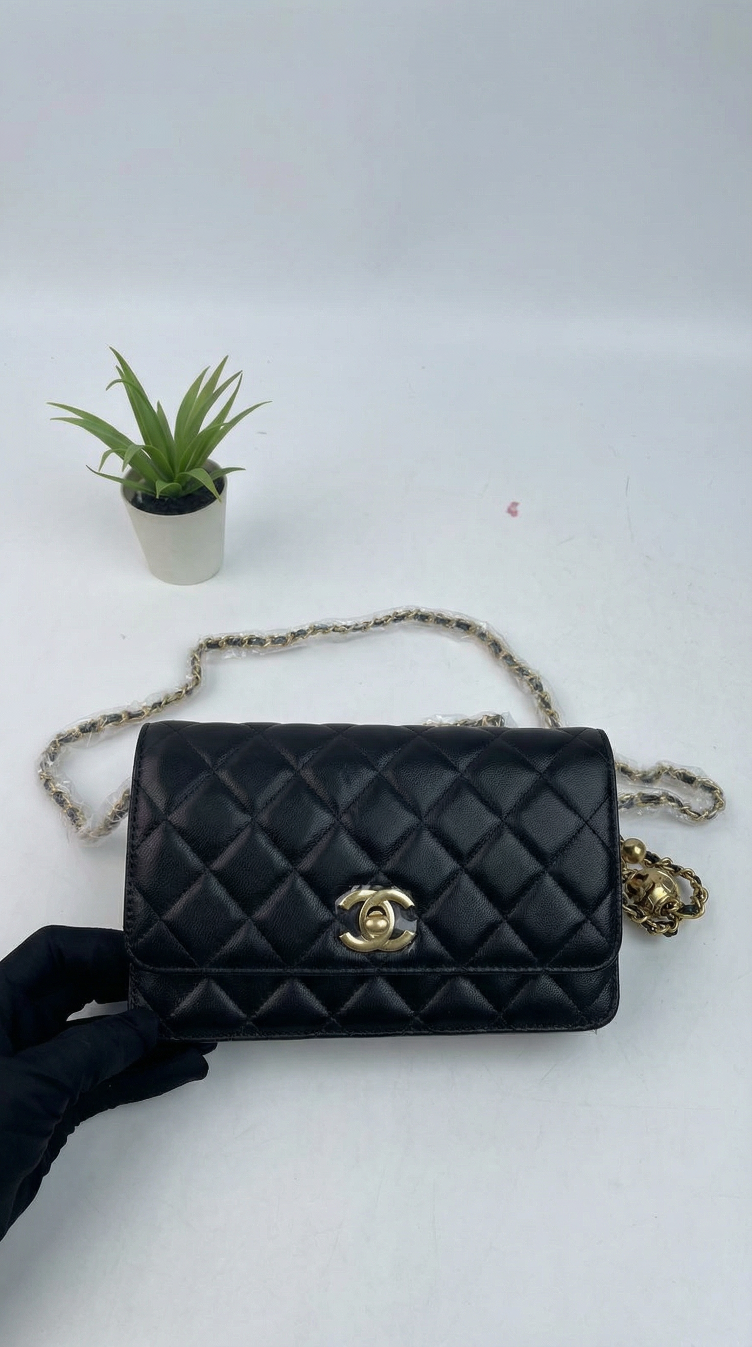Chanel 19 Flap Bag