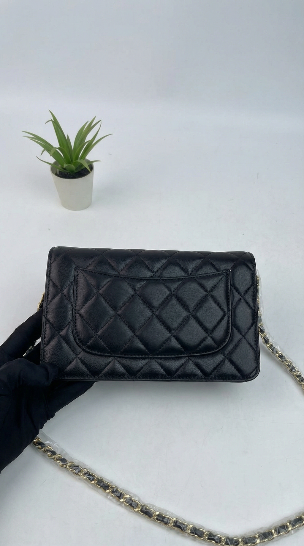 Chanel 19 Flap Bag