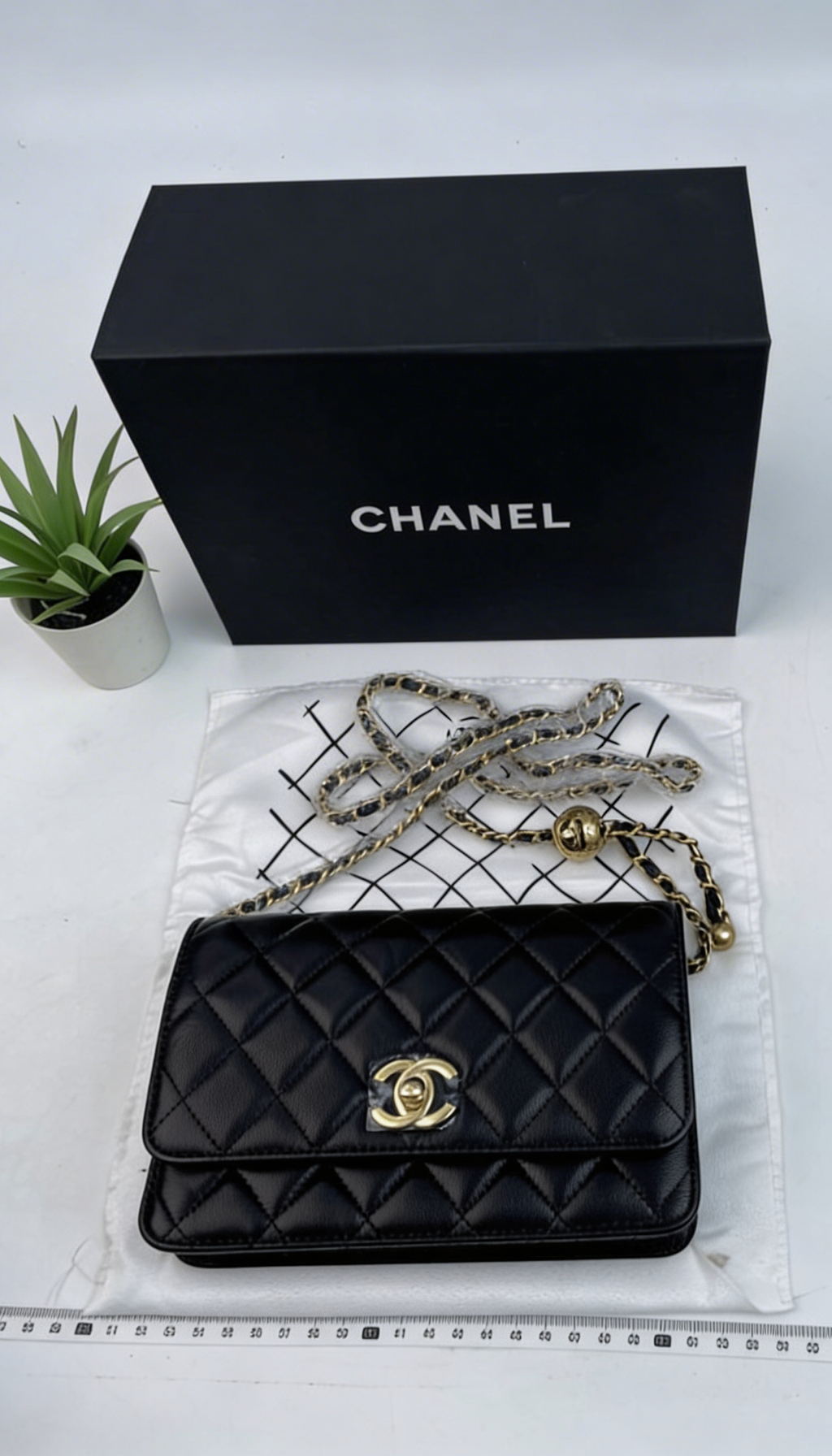 Chanel 19 Flap Bag