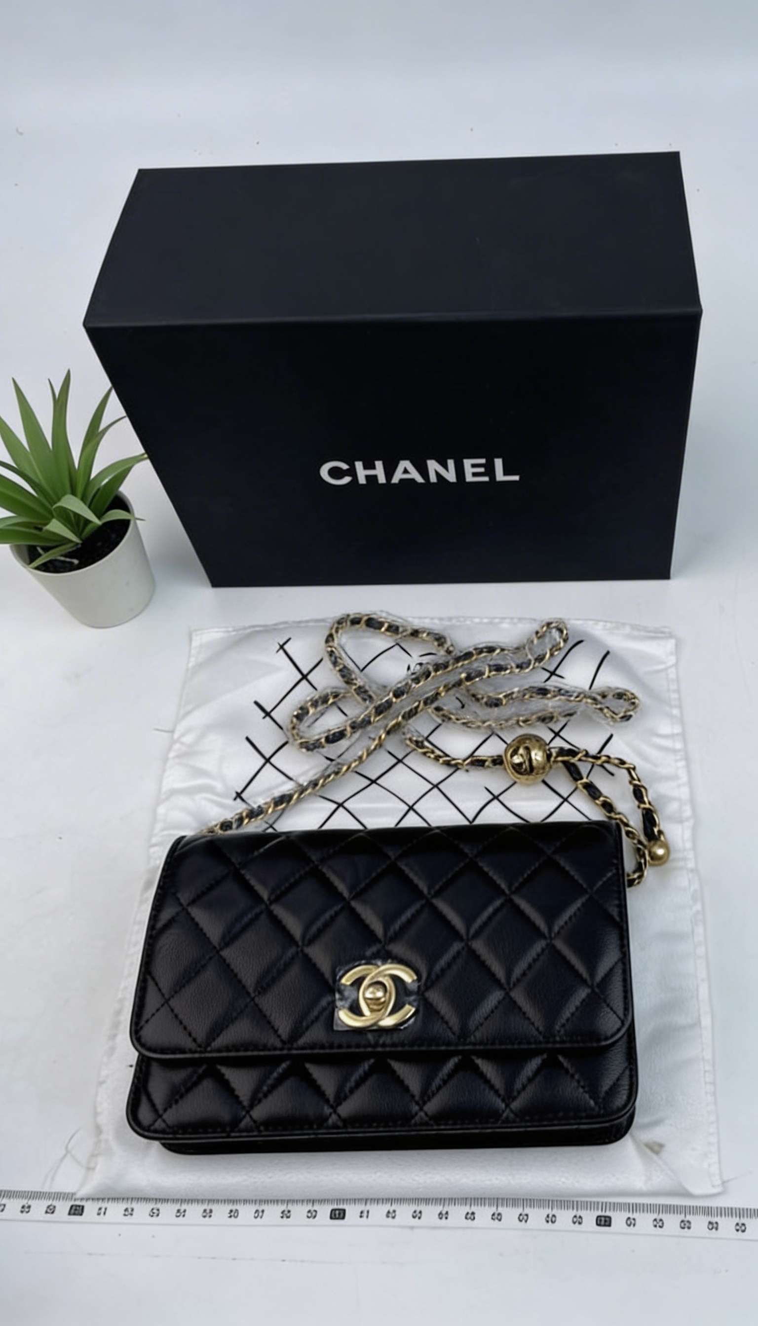 Chanel 19 Flap Bag