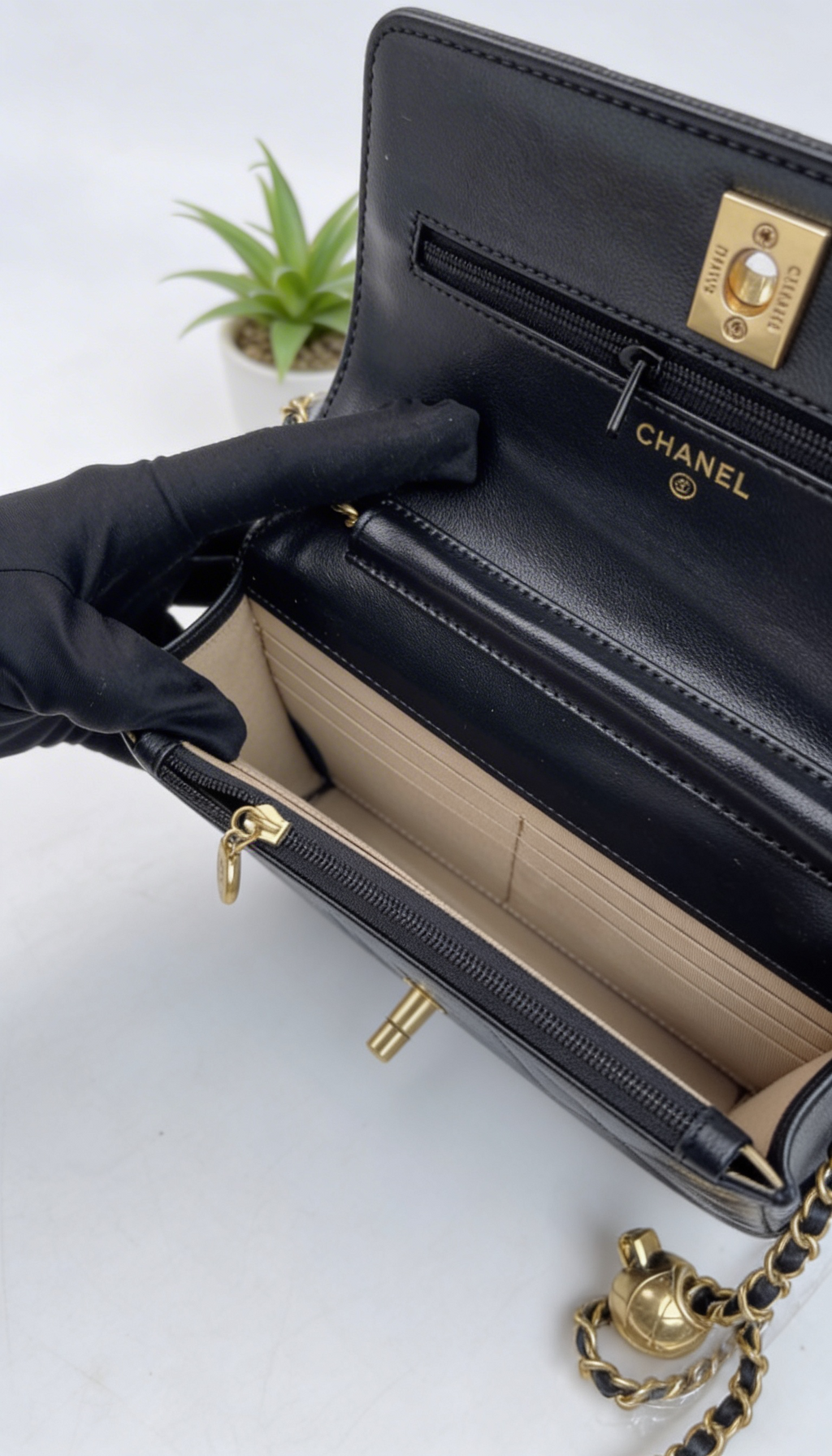 Chanel 19 Flap Bag